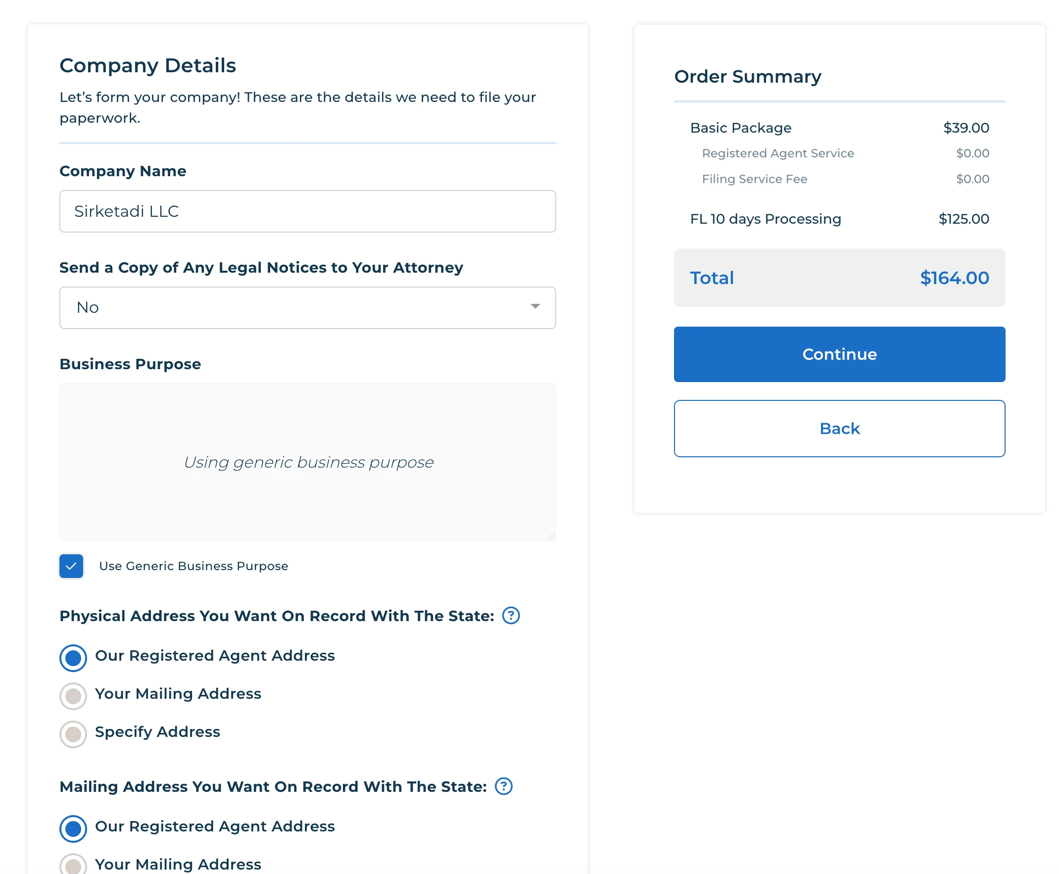 şirket adı yazılan bir form adımıdır