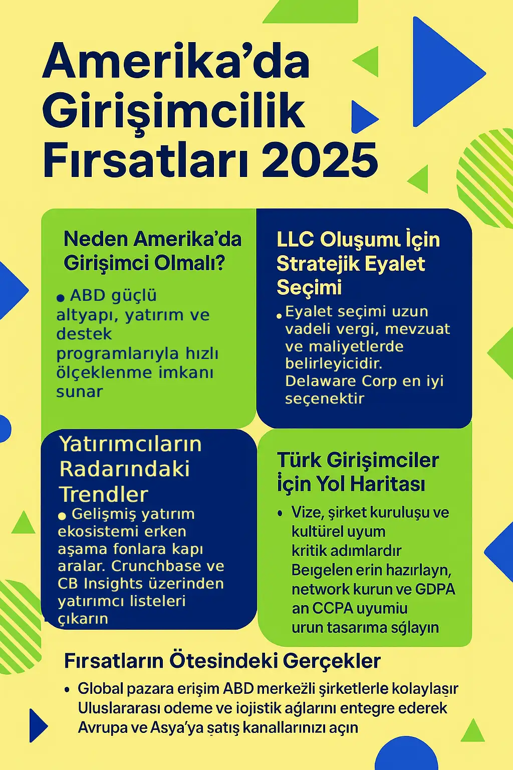 Amerika'da Girişimcilik Fırsatlarını  Listeleyen bir infografik genellikle makale içindeki bilgilerin derlemesidir